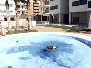 Limpieza de piscinas